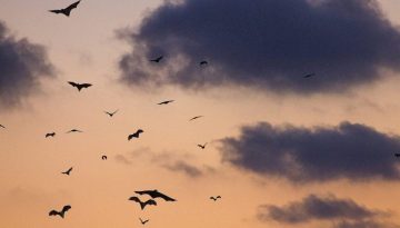 clement-falize-NljTy5Y15JM-unsplash