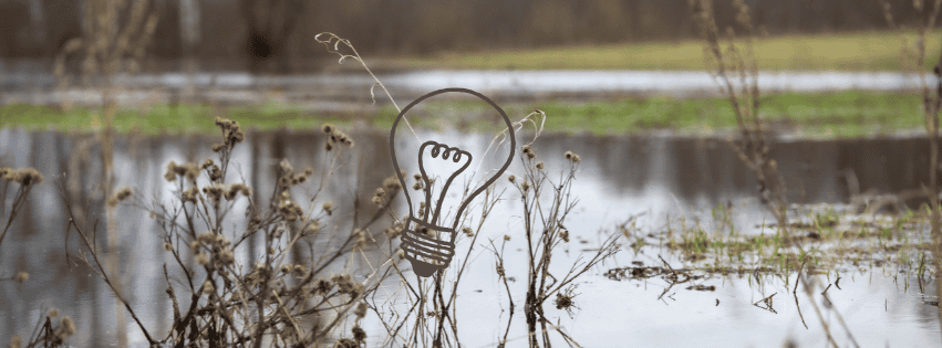 web_wetland_lightbulb